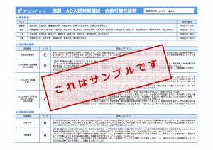 推薦・AO対策入試模試診断_メイリオ見本